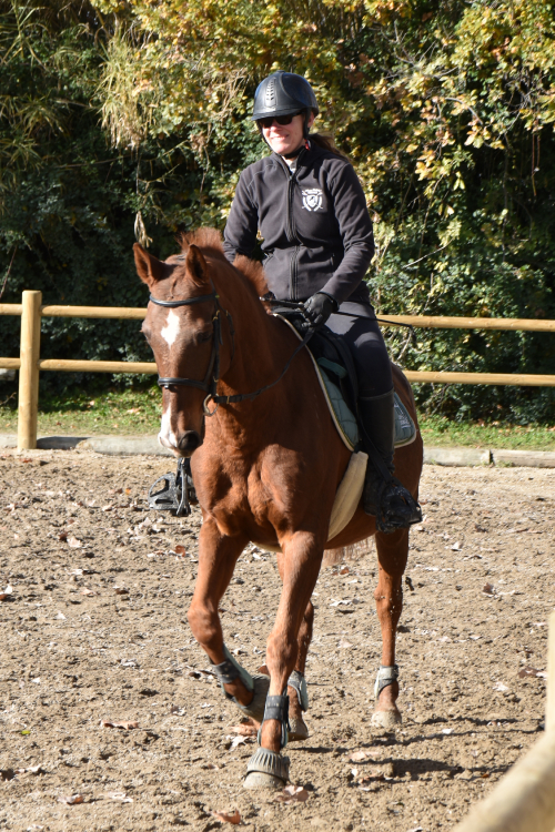 Monter à cheval au Centre Équestre Salonais - Équitation à Salon de Provence