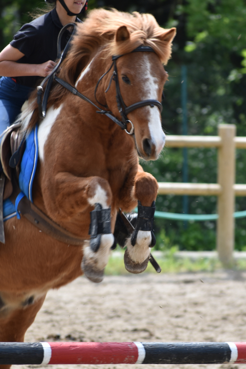 Sauter à poney - Centre Équestre Salonais - Équitation à Salon de Provence