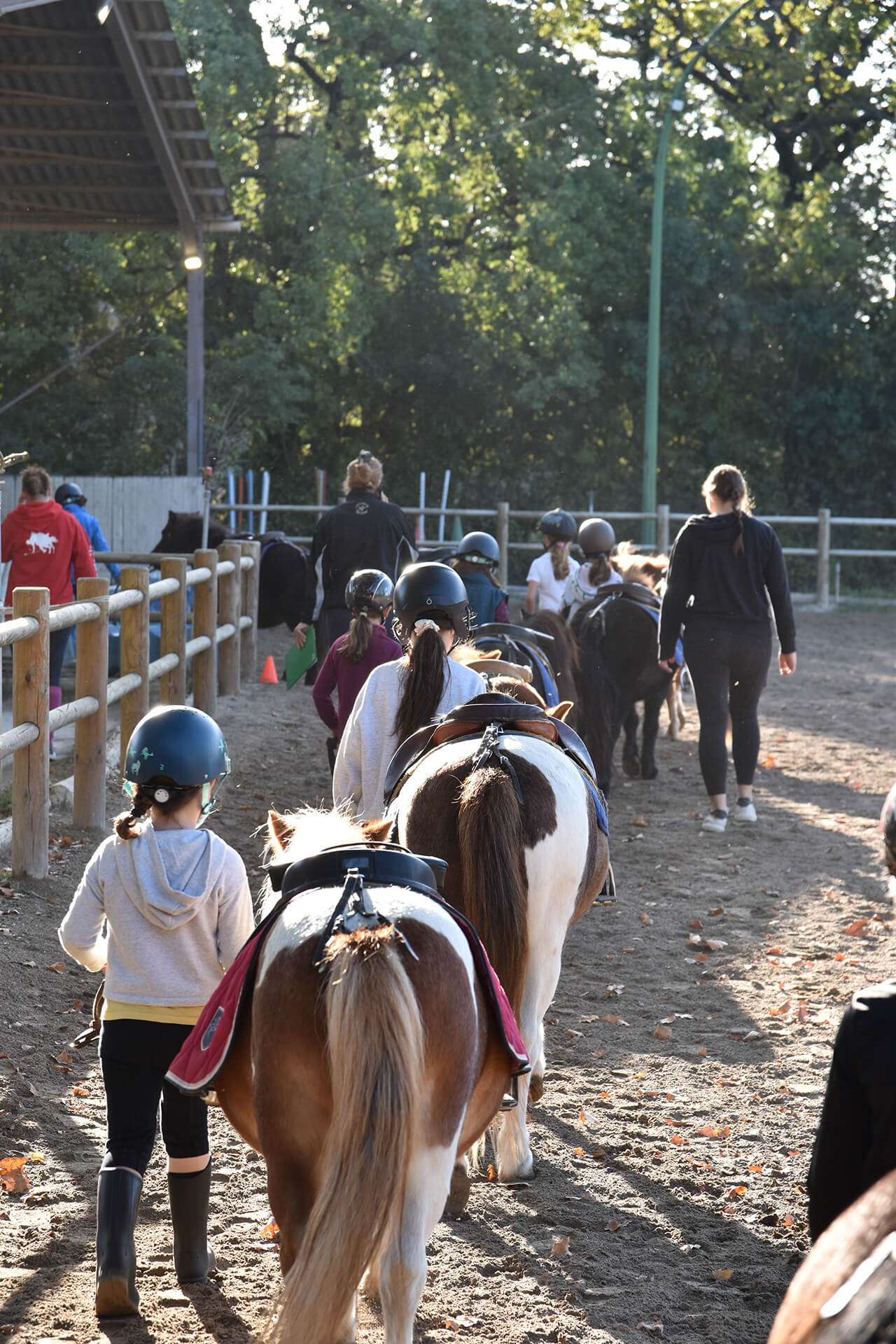 Cours baby poney - Centre Équestre Salonais - Équitation à Salon de Provence