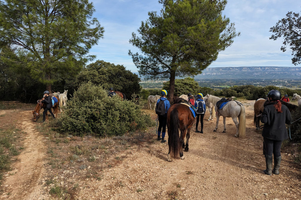 Balade dans les Alpilles au départ du Centre Équestre Salonais - Équitation de loisirs à Salon de Provence