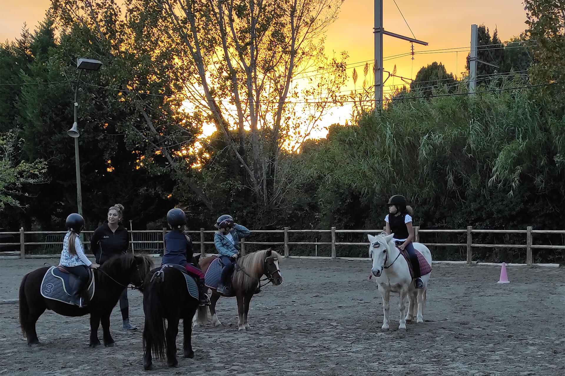Centre Équestre Salonais - Équitation de loisirs à Salon de Provence