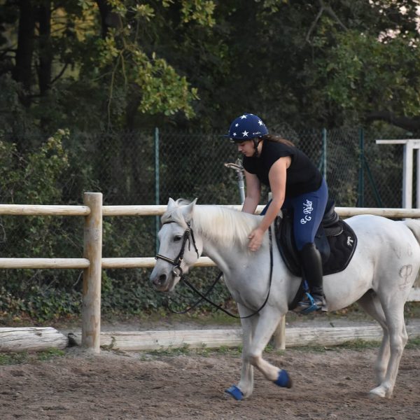 Cours galop 4/5 chevaux et poneys - Centre Équestre Salonais - Équitation à Salon de Provence