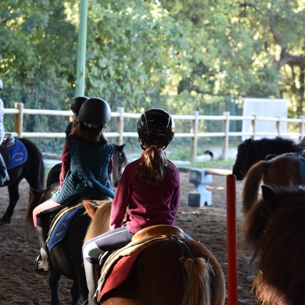 Cours enfants à shetland - Centre Équestre Salonais - Équitation à Salon de Provence