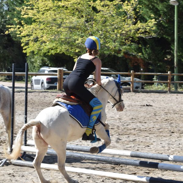 Série 1 CSO poney - Challenge Interne Octobre 2023 - Centre équestre Salonais - Équitation à Salon-de-Provence