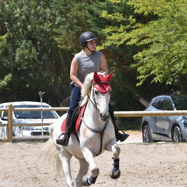 Challenge Interne d'obstacles au Centre Équestre Salonais - Équitation de loisirs à Salon de Provence